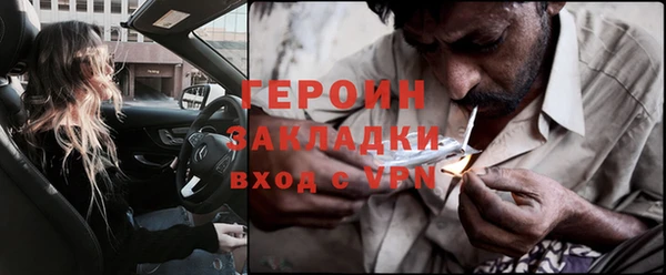 индика Вяземский