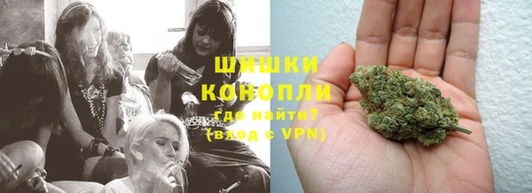 индика Вяземский