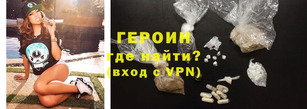 индика Вяземский