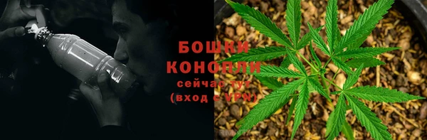 индика Вяземский