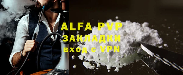 индика Вяземский