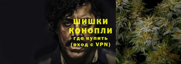 индика Вяземский