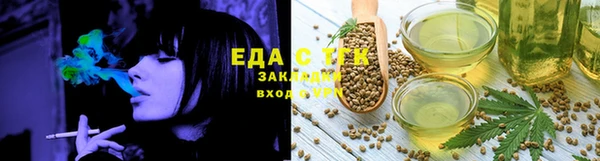 индика Вяземский