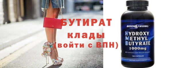индика Вяземский