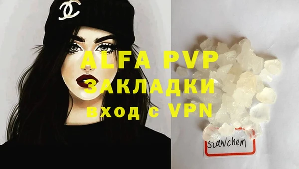 индика Вяземский