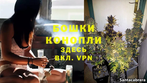 молекула духа Покровск