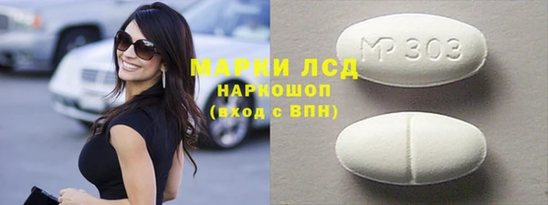 индика Вяземский