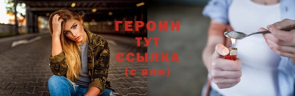 индика Вяземский