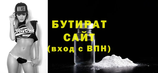 индика Вяземский