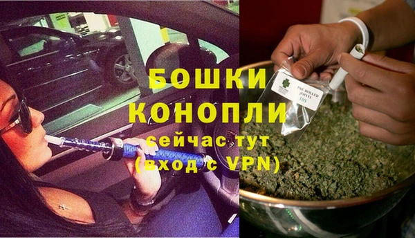 индика Вяземский