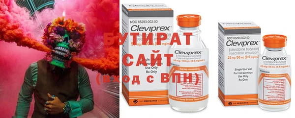 индика Вяземский