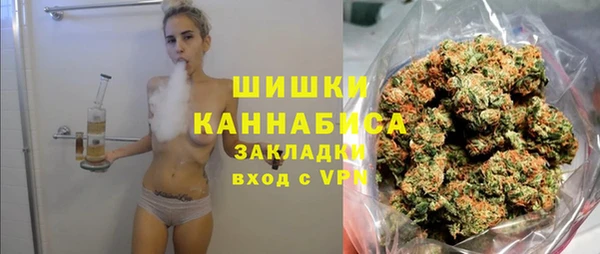 индика Вяземский