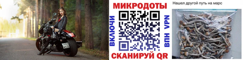 купить закладку  Муром  Галлюциногенные грибы Psilocybine cubensis 